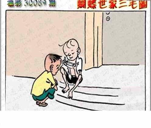 24089期: 3D蝴蝶世家蝴蝶彩图