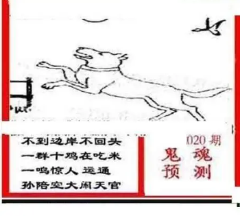 26020期: 三毛3D精品图谜