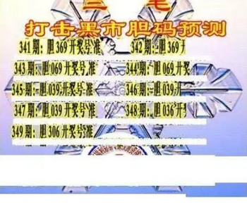 25349期: 三毛3D精品图谜