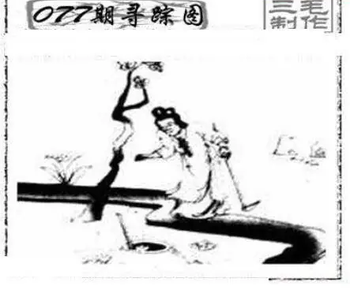 26077期: 三毛3D精品图谜