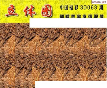 26063期: 3D蝴蝶世家蝴蝶彩图