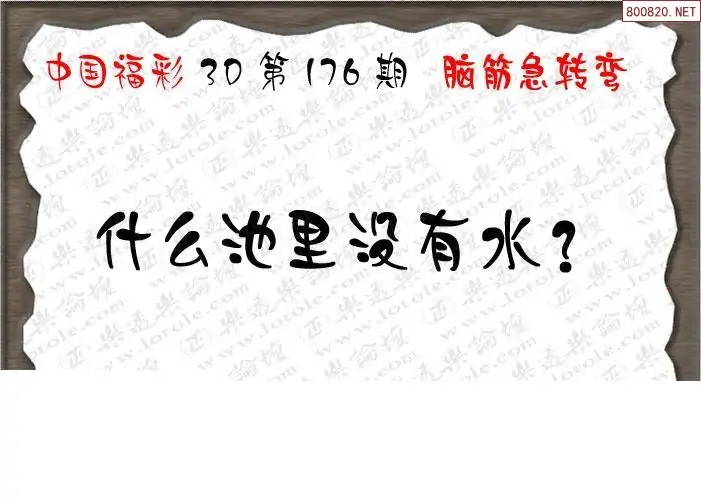 25176期: 3D蝴蝶世家蝴蝶彩图