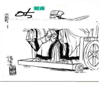 25342期: 三毛3D精品图谜