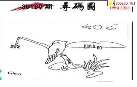 25160期: 三毛3D精品图谜