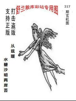 25317期: 老村长福彩3D天天图谜