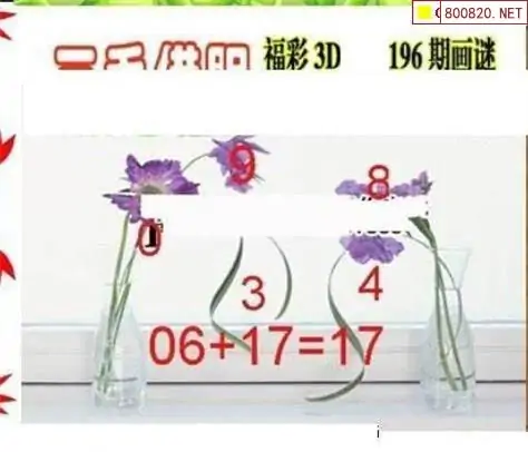 25196期: 三毛3D精品图谜