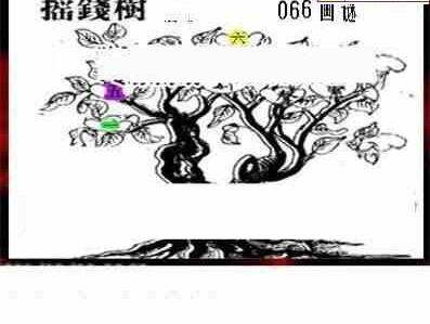 24066期: 三毛3D精品图谜