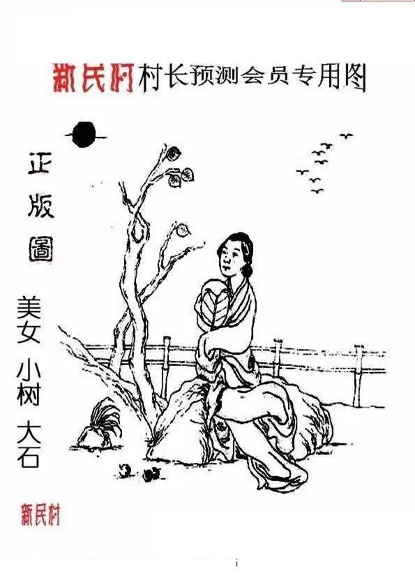 25232期: 老村长福彩3D天天图谜