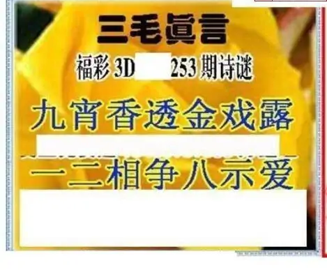 25253期: 三毛3D精品图谜