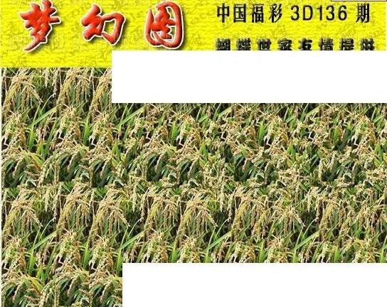 25136期: 3D蝴蝶世家蝴蝶彩图