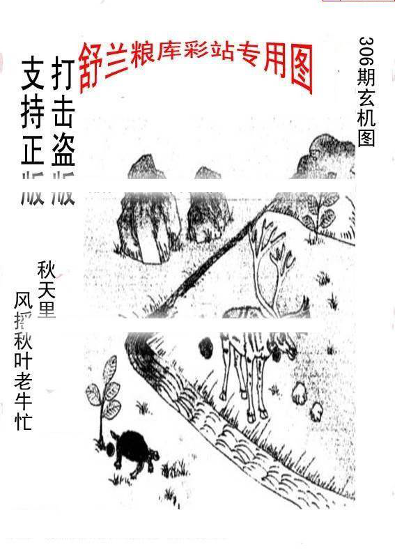 24306��: �ϴ峤����3D����ͼ��