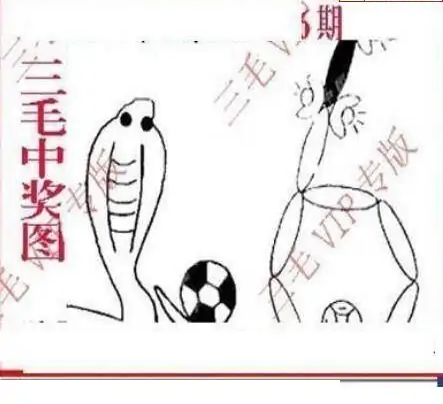 25086期: 三毛3D精品图谜