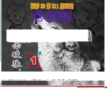 25311期: 三毛3D精品图谜