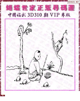 25310期: 3D蝴蝶世家蝴蝶彩图