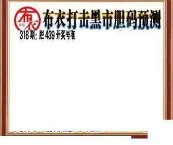 25316期: 三毛3D精品图谜