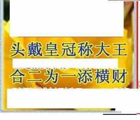 25034期: 三毛3D精品图谜