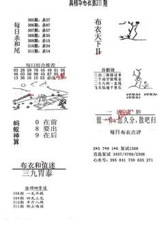 25311期: 福彩3D全套图版参考