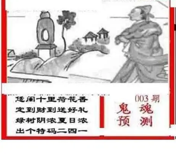 26003期: 三毛3D精品图谜