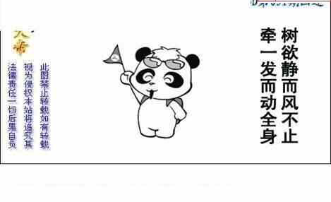 25051期: 白老3D杀码图版