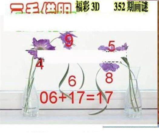 24352期: 三毛3D精品图谜