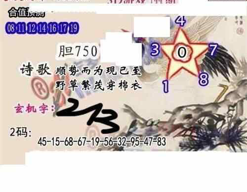 24144期: 白老3D杀码图版