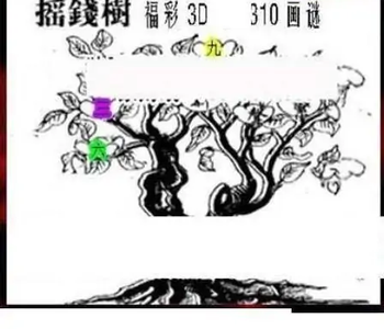 25310期: 三毛3D精品图谜