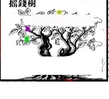 26090期: 三毛3D精品图谜