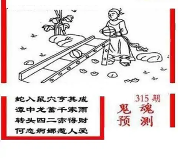 25315期: 三毛3D精品图谜