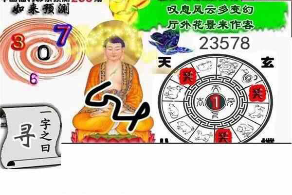 24256期: 白老3D杀码图版