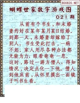 26021期: 3D蝴蝶世家蝴蝶彩图