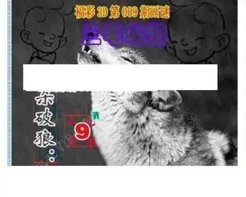 26009期: 三毛3D精品图谜