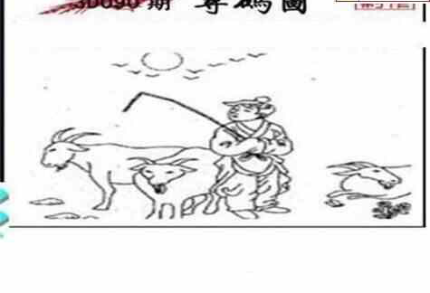 24090期: 三毛3D精品图谜