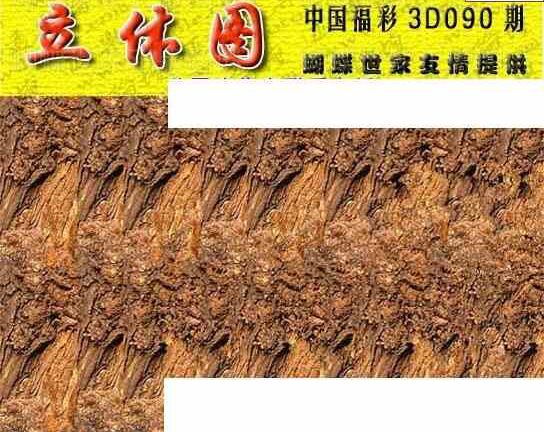 24090期: 3D蝴蝶世家蝴蝶彩图