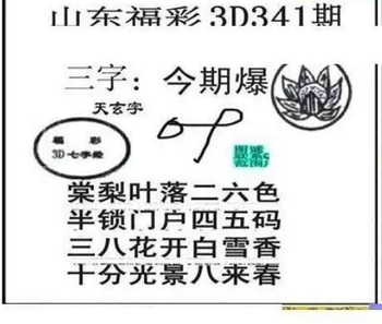 25341期: 三毛3D精品图谜