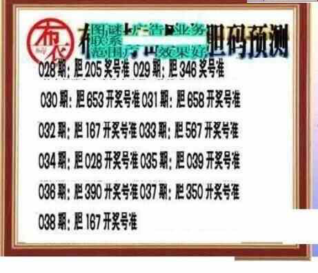 25038期: 三毛3D精品图谜