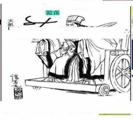 25031期: 三毛3D精品图谜