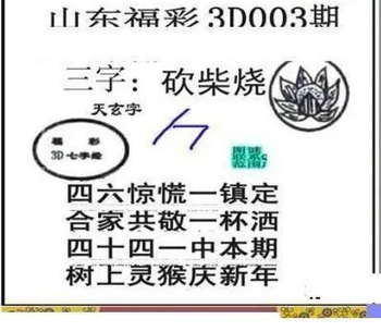 26003期: 三毛3D精品图谜