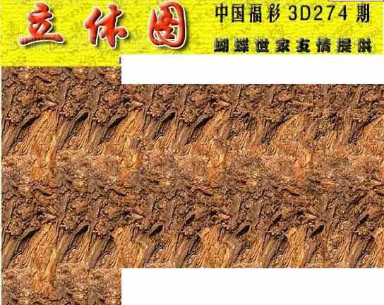 24274期: 3D蝴蝶世家蝴蝶彩图