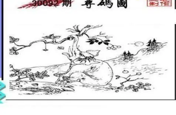 26092期: 三毛3D精品图谜