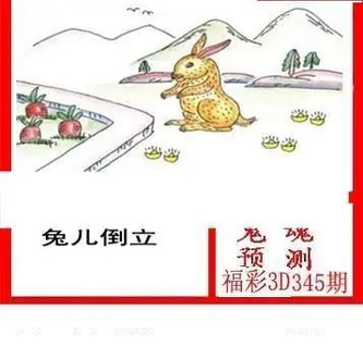 25345期: 白老3D杀码图版