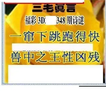 25348期: 三毛3D精品图谜