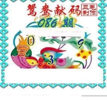 26086期: 三毛3D精品图谜
