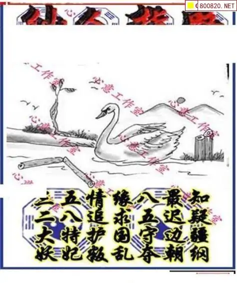 25177期: 三毛3D精品图谜