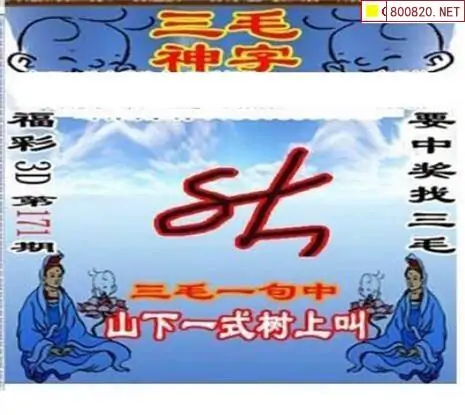 25171期: 三毛3D精品图谜