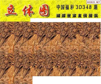 25348期: 3D蝴蝶世家蝴蝶彩图