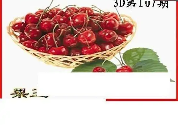 25107期: 白老3D杀码图版