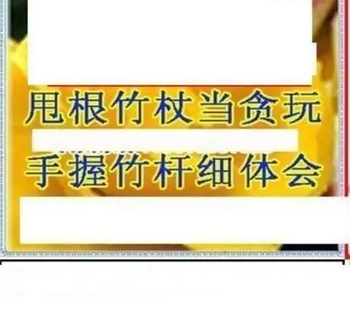 26090期: 三毛3D精品图谜