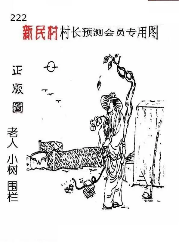 25222期: 老村长福彩3D天天图谜