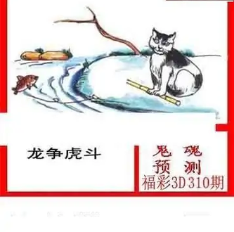 25310期: 白老3D杀码图版