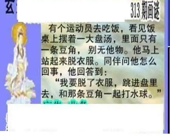 25313期: 三毛3D精品图谜